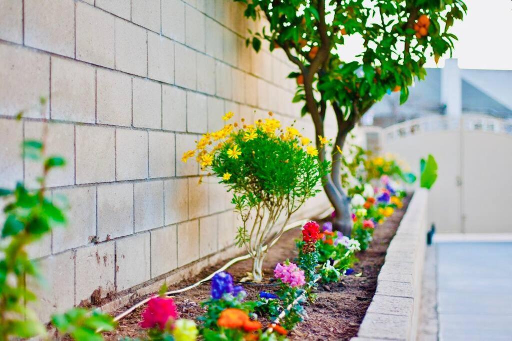 הסיינדה הייטס La Sunny House Beautiful Yard 7 Rooms 4 Bathrooms Near Disneyland & Hollywood & Downtown מראה חיצוני תמונה