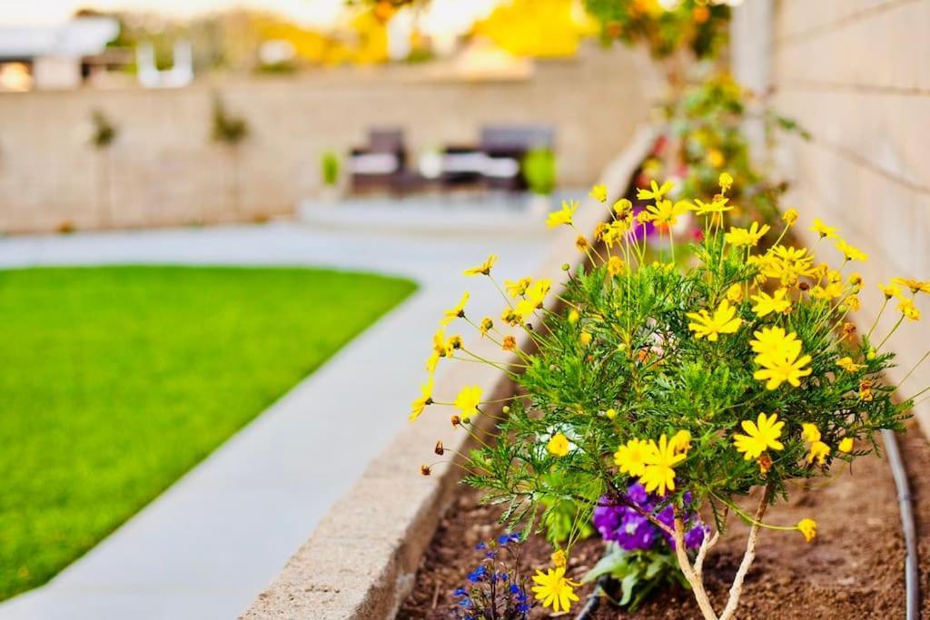 הסיינדה הייטס La Sunny House Beautiful Yard 7 Rooms 4 Bathrooms Near Disneyland & Hollywood & Downtown מראה חיצוני תמונה